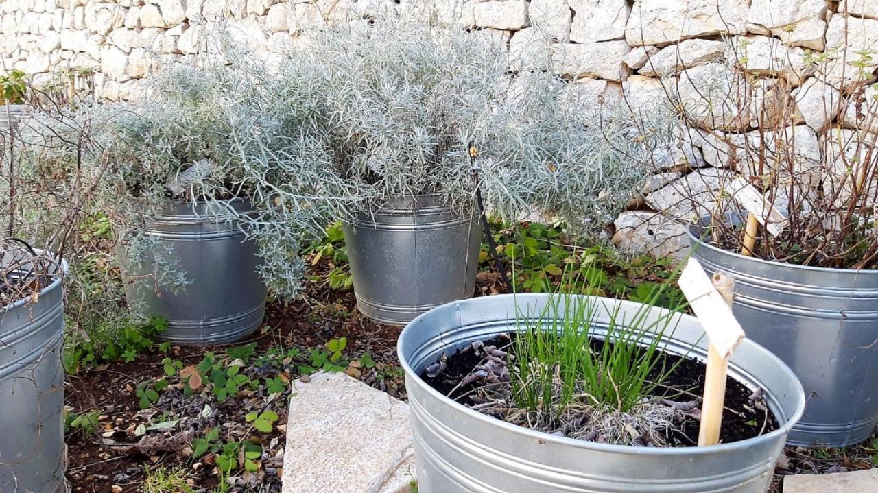 הוילה קונברסאנו Casina Dei Preti מראה חיצוני תמונה